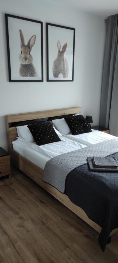 Apartamenty 77 Częstochowa Zewnętrze zdjęcie